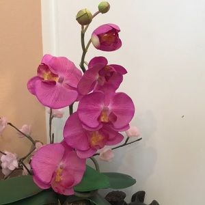 Meet your Posher, Roxine